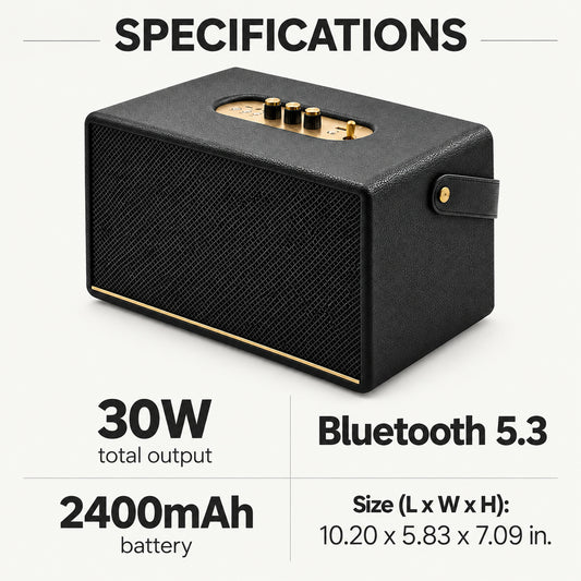 30W Retro Bluetooth Speaker with Carry Strap, Black