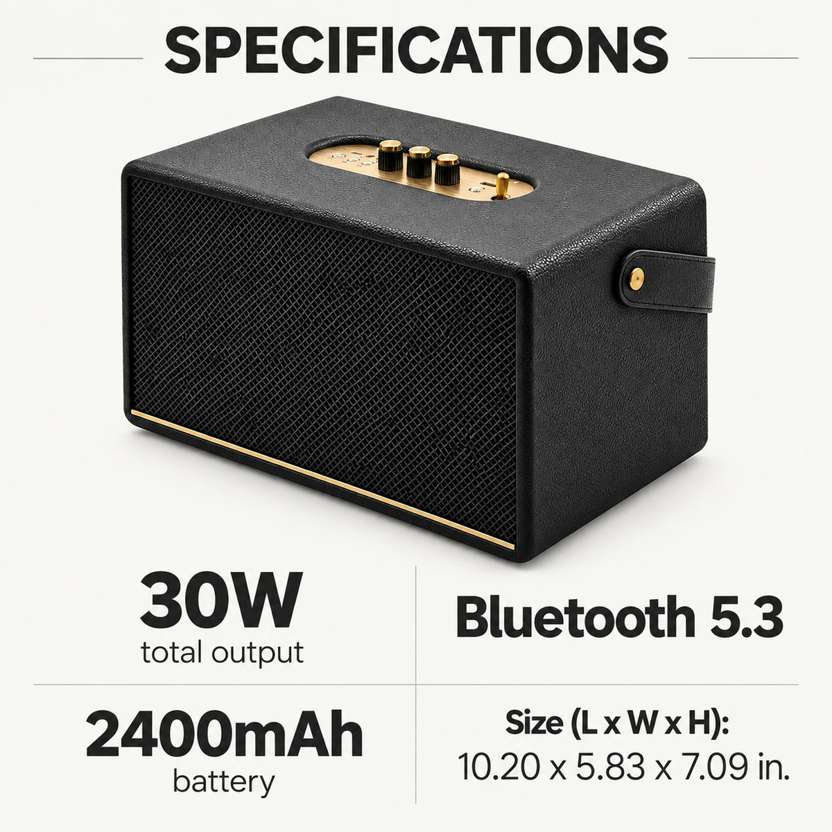 30W Retro Bluetooth Speaker with Carry Strap, Black