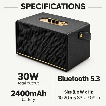 30W Retro Bluetooth Speaker with Carry Strap, Black